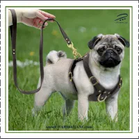 قلاده سگ دو لایه چرم طبیعی گاوی