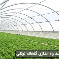 ساخت و تجهیز انواع گلخانه صفر تا صد|خدمات باغبانی و درختکاری|گرگان, |دیوار
