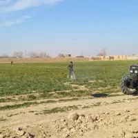 کارگر کشاورزی و آبگیری