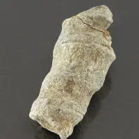 نگین فرج