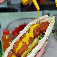 نیرو فلافلی