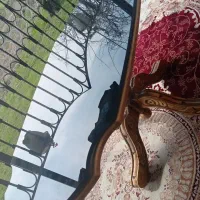 جلو مبلی با دو تا عسلیش