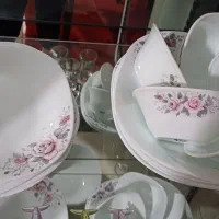 اکرپال نو نو