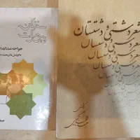 کتاب شعر دشتی دشتستان و سخنان پیر هرات