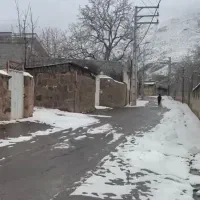 زمین-دیوار-کشی-شده-داخل-بافت