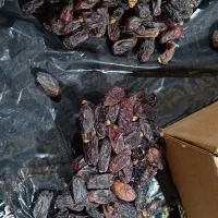 خرما|خوردنی و آشامیدنی|بلده, |دیوار