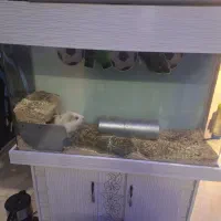 آکواریوم شیشه خم