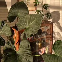 کانال توسعه فردی ماهک