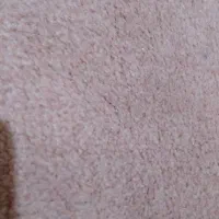 پلاژ موکت|موکت|گنبد کاووس, |دیوار