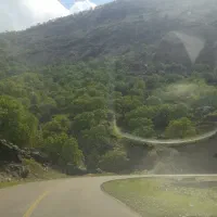 تور /توریک روزه