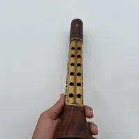 نی انبان