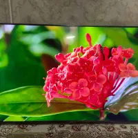 ۵۵ تی سی ال tcl استوک نمایشگاهی فول امکانات|تلویزیون و پروژکتور|تهران, ترمینال غرب|دیوار