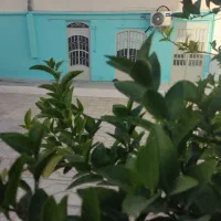 منزل اجاره ای روزانه و هفتگی