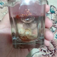 شمع آکواریومی صدف|صنایع دستی و سایر لوازم تزئینی|شیروان (خراسان), |دیوار