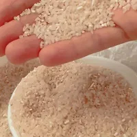 برنج فجر گرگان|خوردنی و آشامیدنی|شاهین‌شهر, شهرک سایت|دیوار