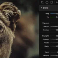 استخدام ادیتور خلاق برای ویدیوهای کوتاه