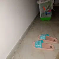 دمپایی نو