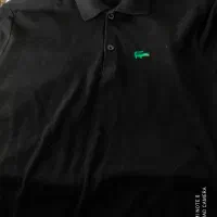 تیشرت مشکی Xl لاگوست