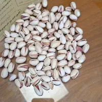 پسته لوکس احمد اقایی