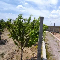 فروش زمین ویلایی 4دیواری فاز 5سهند