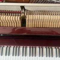 پیانو فروشی|پیانو، کیبورد، آکاردئون|مشهد, استاد یوسفی (شهرک غرب)|دیوار