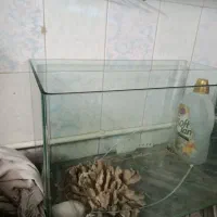 آکواریوم شیشه خم