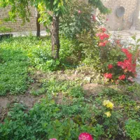 فروش-ویلایی-شهرک-فرهنگیان-املاک-محمدی