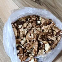 گردو|خوردنی و آشامیدنی|کاشمر, |دیوار