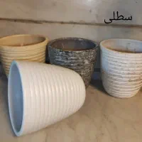 گلدان سفالی لالجین|گل و گیاه طبیعی|قرچک, زیبا شهر|دیوار
