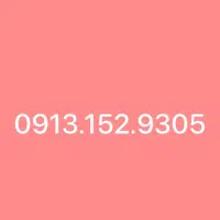 09131529305