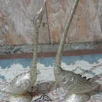 قو برنچی