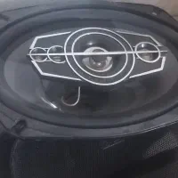 باند خربزه ای