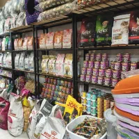 فروشگاه پامر پت شاپ شعبه 2 سگ گربه|لوازم جانبی حیوانات|مشهد, دانشجو|دیوار