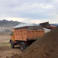 کود گوسفندی تمیز