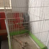 قفس پرنده|لوازم جانبی حیوانات|تهران, جوادیه تهرانپارس|دیوار