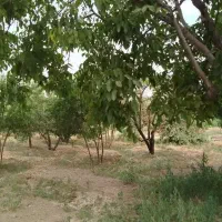 کارگر باغ|استخدام سرایداری و نظافت|رامجین, |دیوار