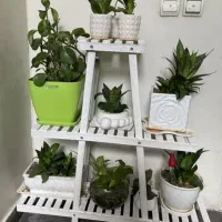 استندگلدان چوبی سفید رنگ سه طبقه نو|صنایع دستی و سایر لوازم تزئینی|گرگان, |دیوار