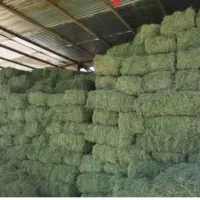 یونجه چین سوم وچهارم