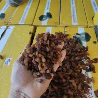 خشکبار کشمش و گله کاشمر احمد صمدی عبادی91|خوردنی و آشامیدنی|مشهد, عبادی|دیوار