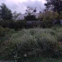 فروش زمین مسکونی ویلایی|فروش زمین و ملک کلنگی|رشت, منظریه|دیوار