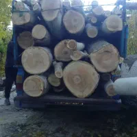 خرید و برش انواع چوب و درخت و هرس درختان لشنی|خدمات باغبانی و درختکاری|دورود, |دیوار