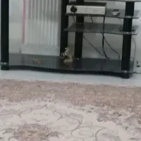 میز تلویزیون درحد نو