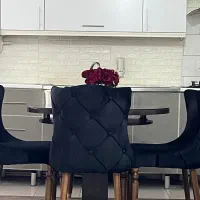 میز و صندلی چستر در حد نو