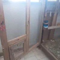 قفس بزرگ حیوانات و پرندگان خانگی|لوازم جانبی حیوانات|گرگان, |دیوار