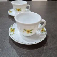 فنجان و نعلبکی  آرکوپال