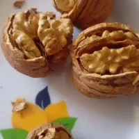 گردو پوست کاغذی