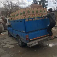 پریل پودر سافتلن|مواد شوینده و دستمال کاغذی|تهران, گمرک|دیوار