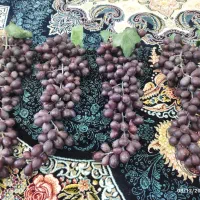 انگور مصنوعی،ریسه برگ،برگ مصنوعی
