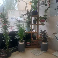 اجاره یک پیلوت سه طبقه یک جا،مدرسه