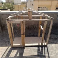 قفس مرغ و خروس یکیش نو یکیش استفاده شده|لوازم جانبی حیوانات|مشهد, کوشش|دیوار